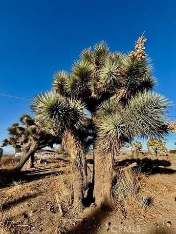 $269,000 | 9950 Sonora Road, Phelan, CA 92371