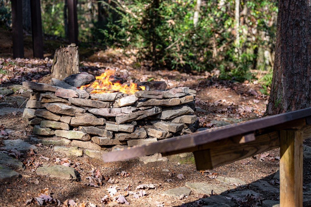986 Joann Sisson Road Blue Ridge, GA 30513 - Photo 43 of 53 Gallery Image 43