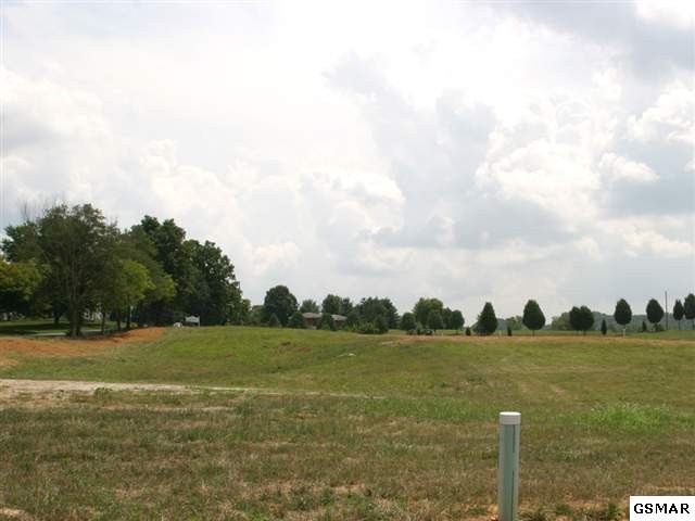 22 Gabrielle Road Strawberry Plains, TN 37871 - Photo 1 of 1
