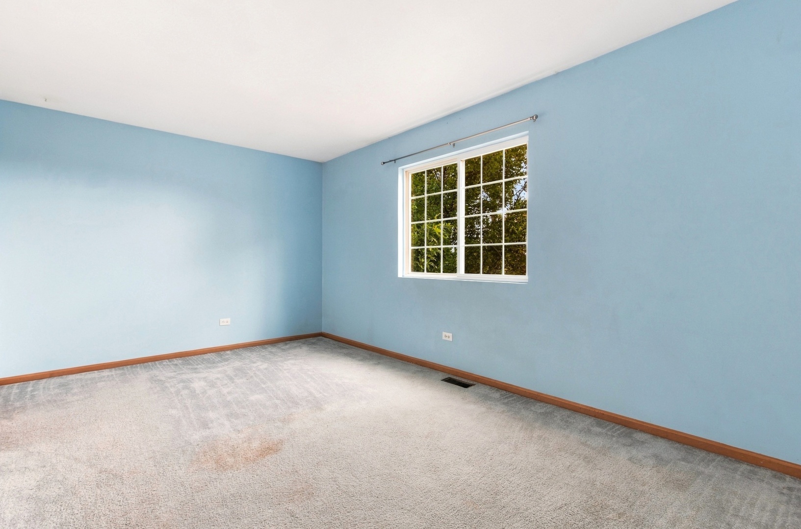 1628 Hawthorne Ridge Drive Plainfield, IL 60586 - Photo 13 of 18 Gallery Image 13