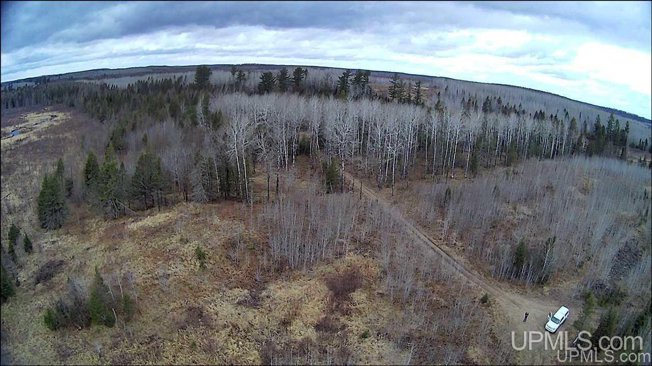 Tbd Murray Road, Unit 3 Perronville, MI 49873 - Photo 14 of 45 Gallery Image 14