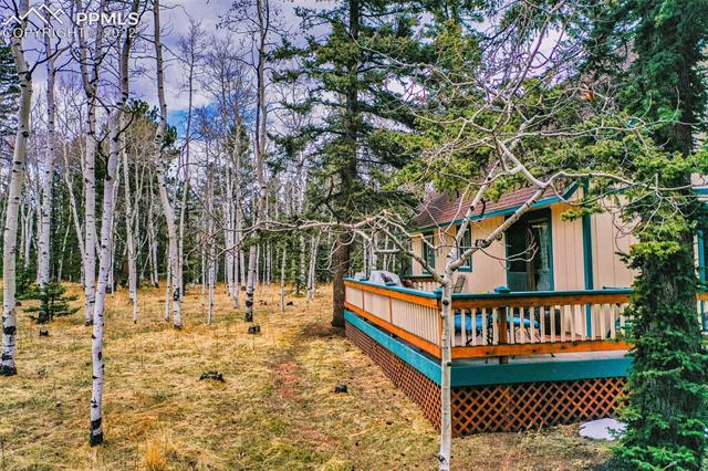 2096 Cedar Mountain Road Divide, CO 80814 - Photo 35 of 42 Gallery Image 35