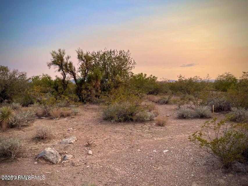 6295 North Mogollon Rim Lane, Unit 129 Rimrock, AZ 86335 - Photo 17 of 37 a big yard with lots of green space and deers