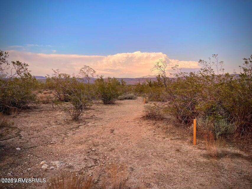 6295 North Mogollon Rim Lane, Unit 129 Rimrock, AZ 86335 - Photo 20 of 37 a view of a dry yard