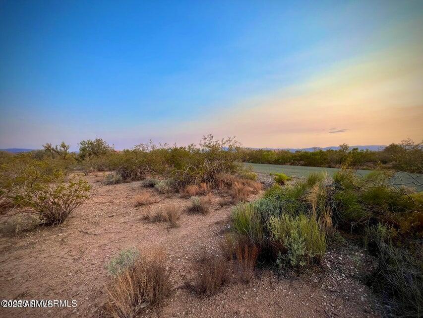 6295 North Mogollon Rim Lane, Unit 129 Rimrock, AZ 86335 - Photo 34 of 37 a view of a yard with a forest