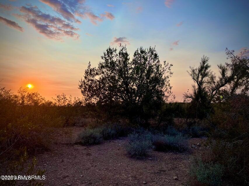 6295 North Mogollon Rim Lane, Unit 129 Rimrock, AZ 86335 - Photo 5 of 37 a view of a yard
