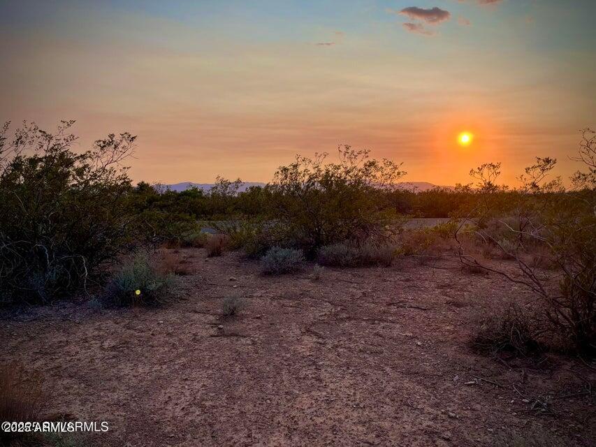 6295 North Mogollon Rim Lane, Unit 129 Rimrock, AZ 86335 - Photo 6 of 37 a view of a field with trees in background