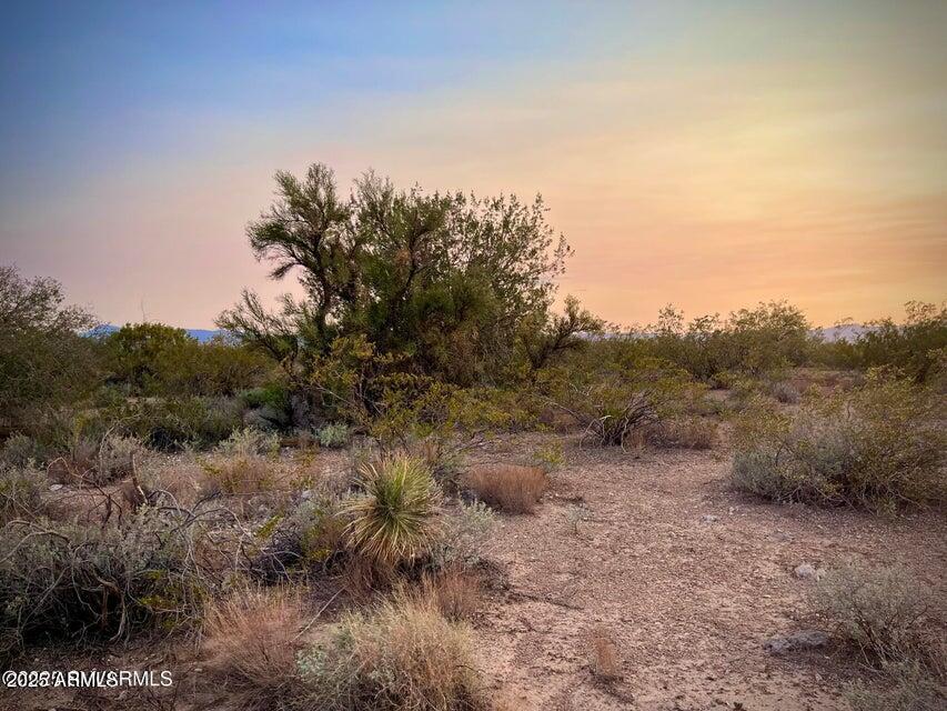 6295 North Mogollon Rim Lane, Unit 129 Rimrock, AZ 86335 - Photo 7 of 37 a view of a dry yard with trees