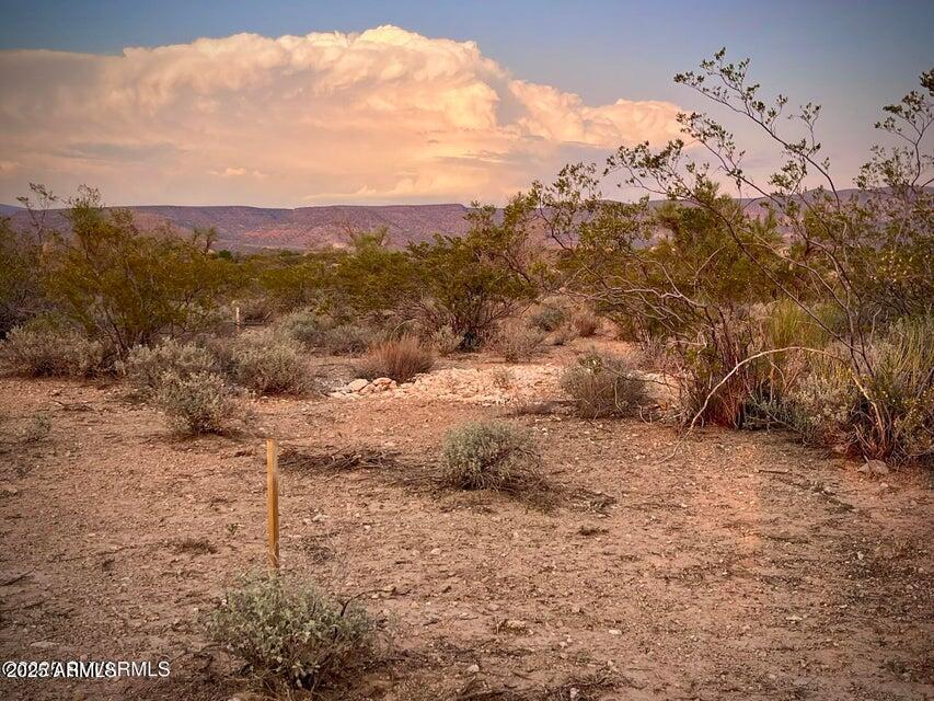 6295 North Mogollon Rim Lane, Unit 129 Rimrock, AZ 86335 - Photo 10 of 37 a view of a dry yard