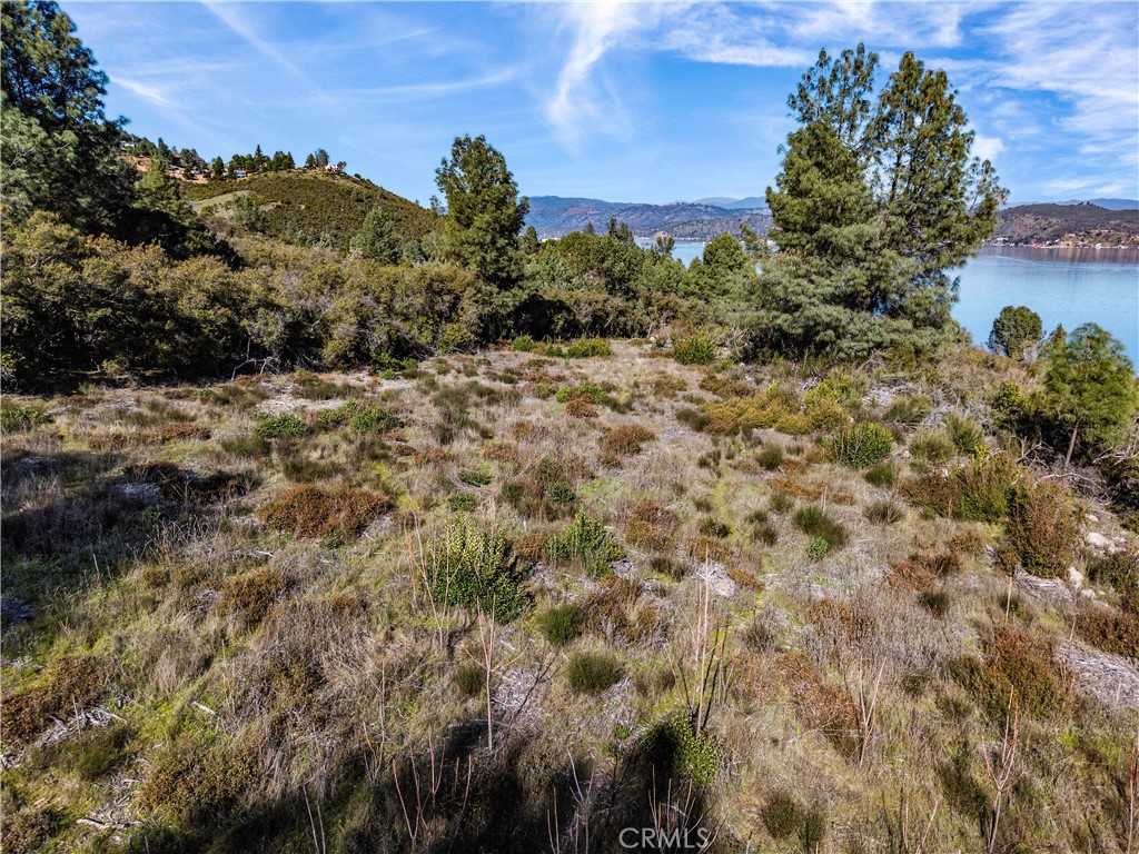 11390 Point Lakeview Road Lower Lake, CA 95457 - Photo 11 of 29 a view of a field