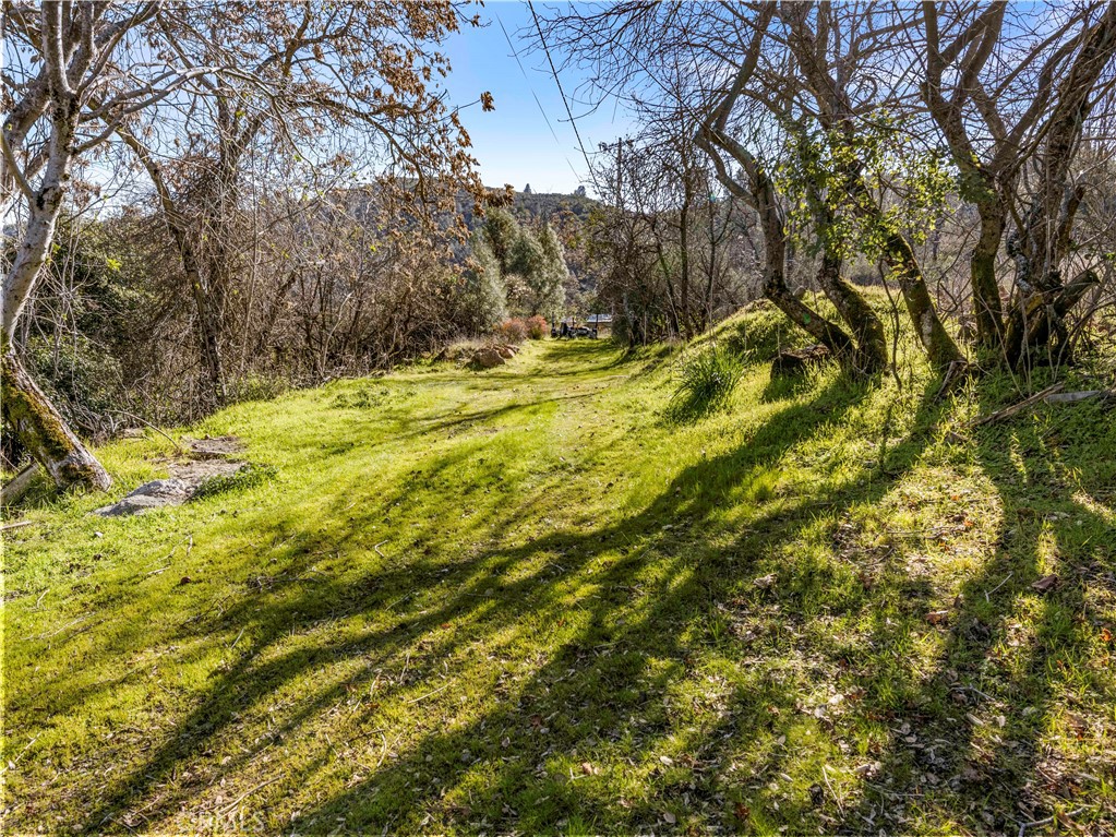 11390 Point Lakeview Road Lower Lake, CA 95457 - Photo 29 of 29 a view of yard with large trees