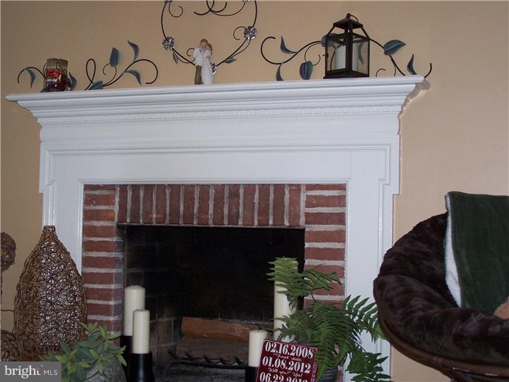 18 Michael Road Havertown, PA 19083 - Photo 6 of 25 Fireplace