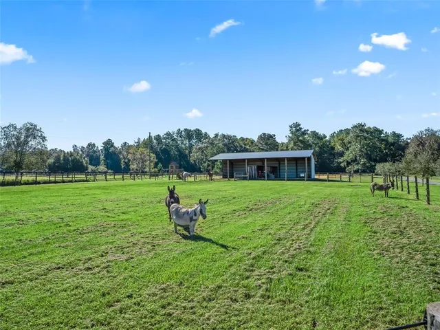 $1,625,000 | 9209 West Highway 316, Reddick, FL 32686