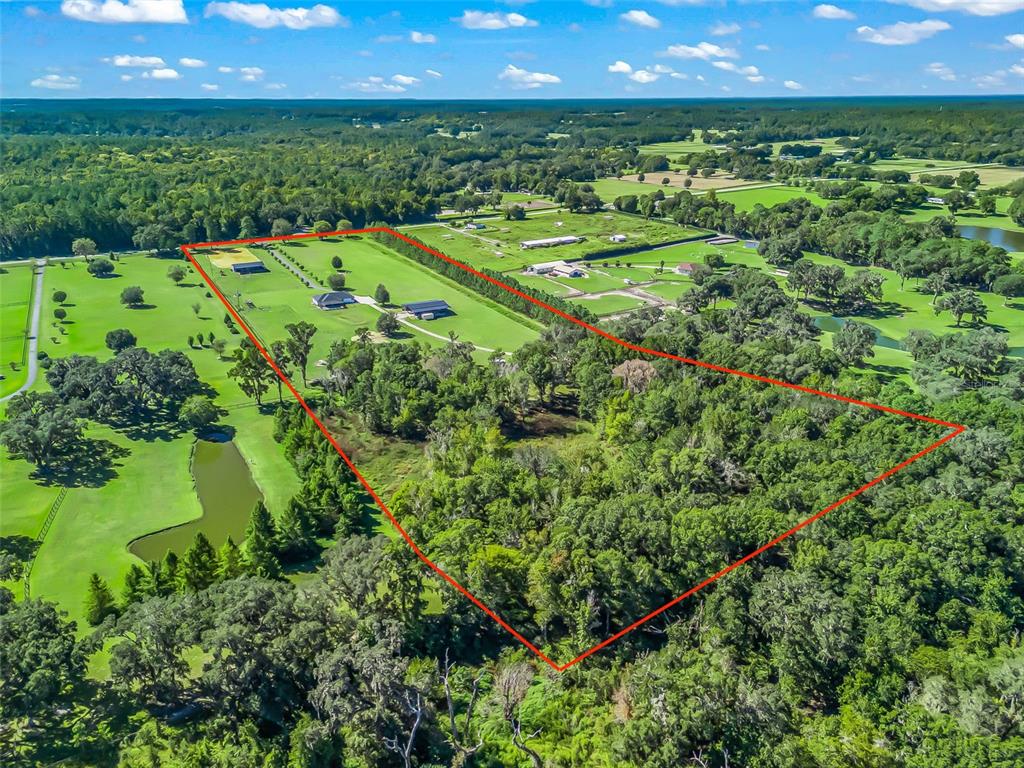 9209 West Highway 316 Reddick, FL 32686 - Photo 68 of 69