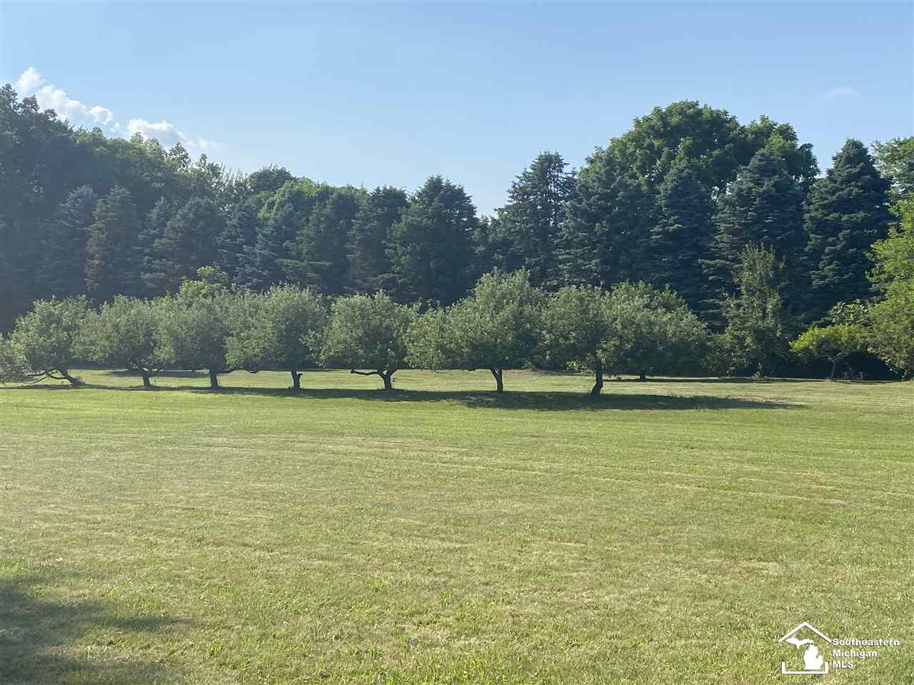 12477 Eggert Road Dundee, MI 48131 - Photo 11 of 45 50016273-10.JPG
