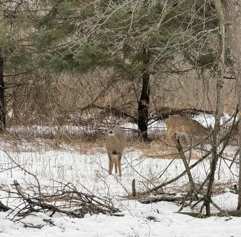 $219,900 | 10025 Russell Avenue North, Unit 2, Brooklyn Park, MN 55444