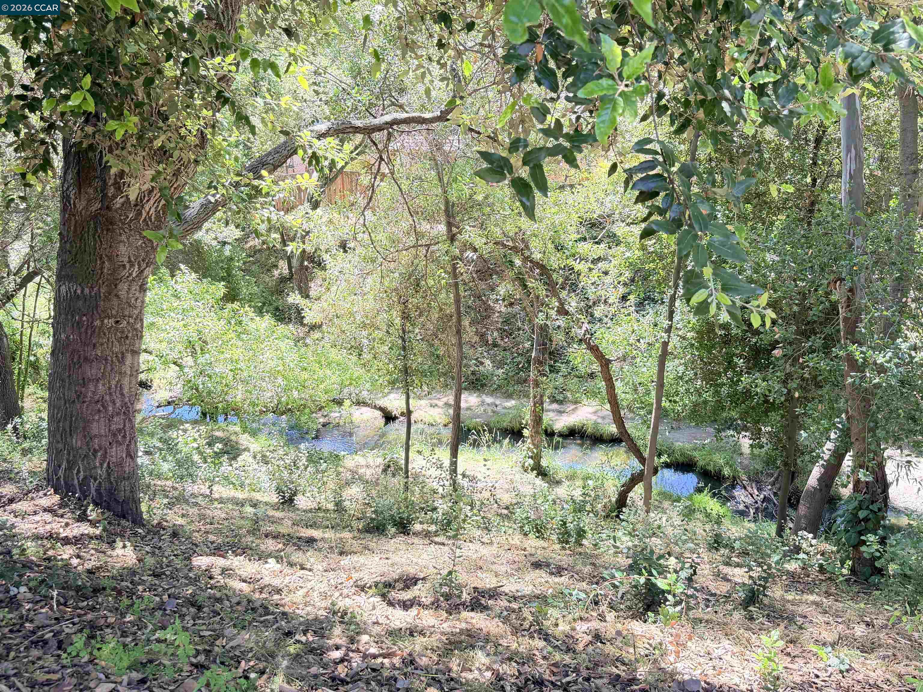 886 Valley Run Hercules, CA 94547 - Photo 24 of 39