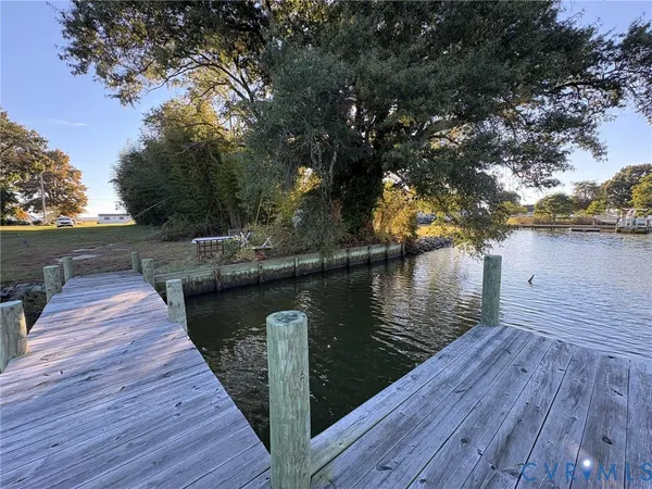 a view of a field with large trees