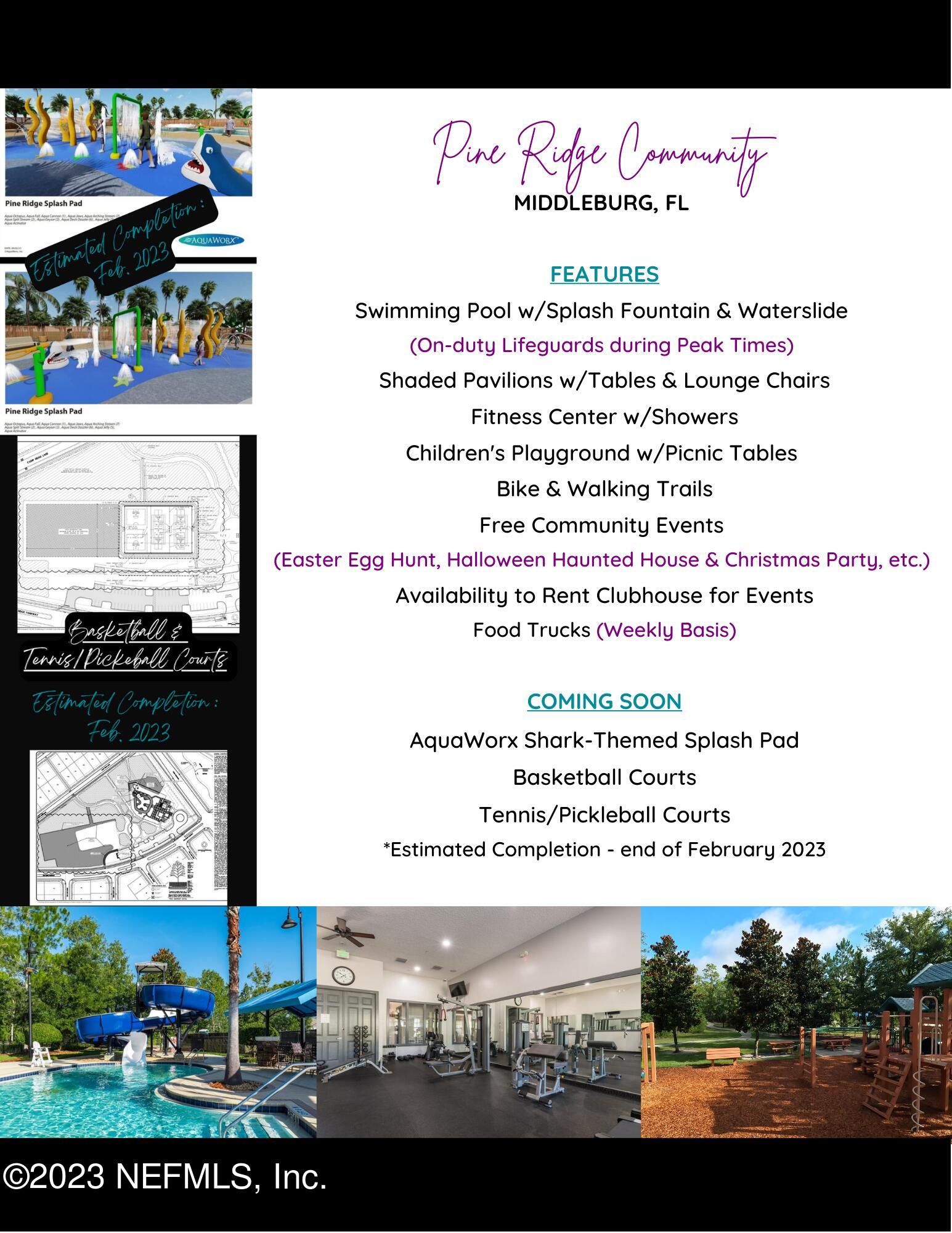 1415 Lantern Light Trail Middleburg, FL 32068 - Photo 7 of 63 MLS PR Amenity Flyer Black