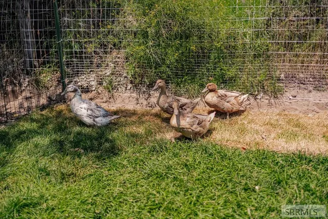 $475,000 | 779 North 600 East, Firth, ID 83236