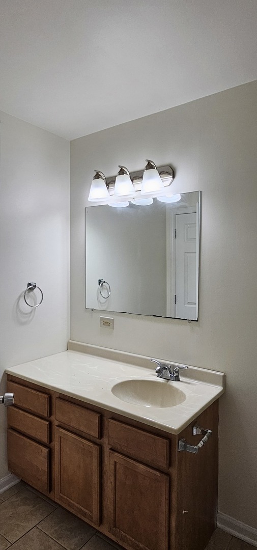 833 Village Quarter Road, Unit A3 West Dundee, IL 60118 - Photo 23 of 27 a bathroom with a sink and a mirror