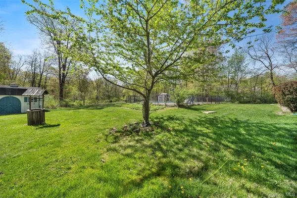 a view of a garden with a tree