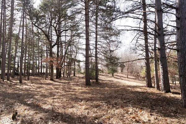 $762,000 | 95-ac Riverview Drive, Montello, WI 53949