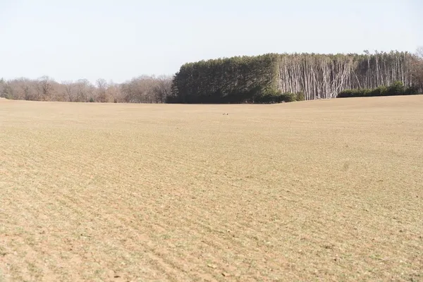 $762,000 | 95-ac Riverview Drive, Montello, WI 53949