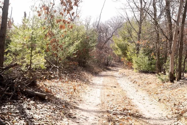 $762,000 | 95-ac Riverview Drive, Montello, WI 53949