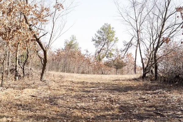 $762,000 | 95-ac Riverview Drive, Montello, WI 53949