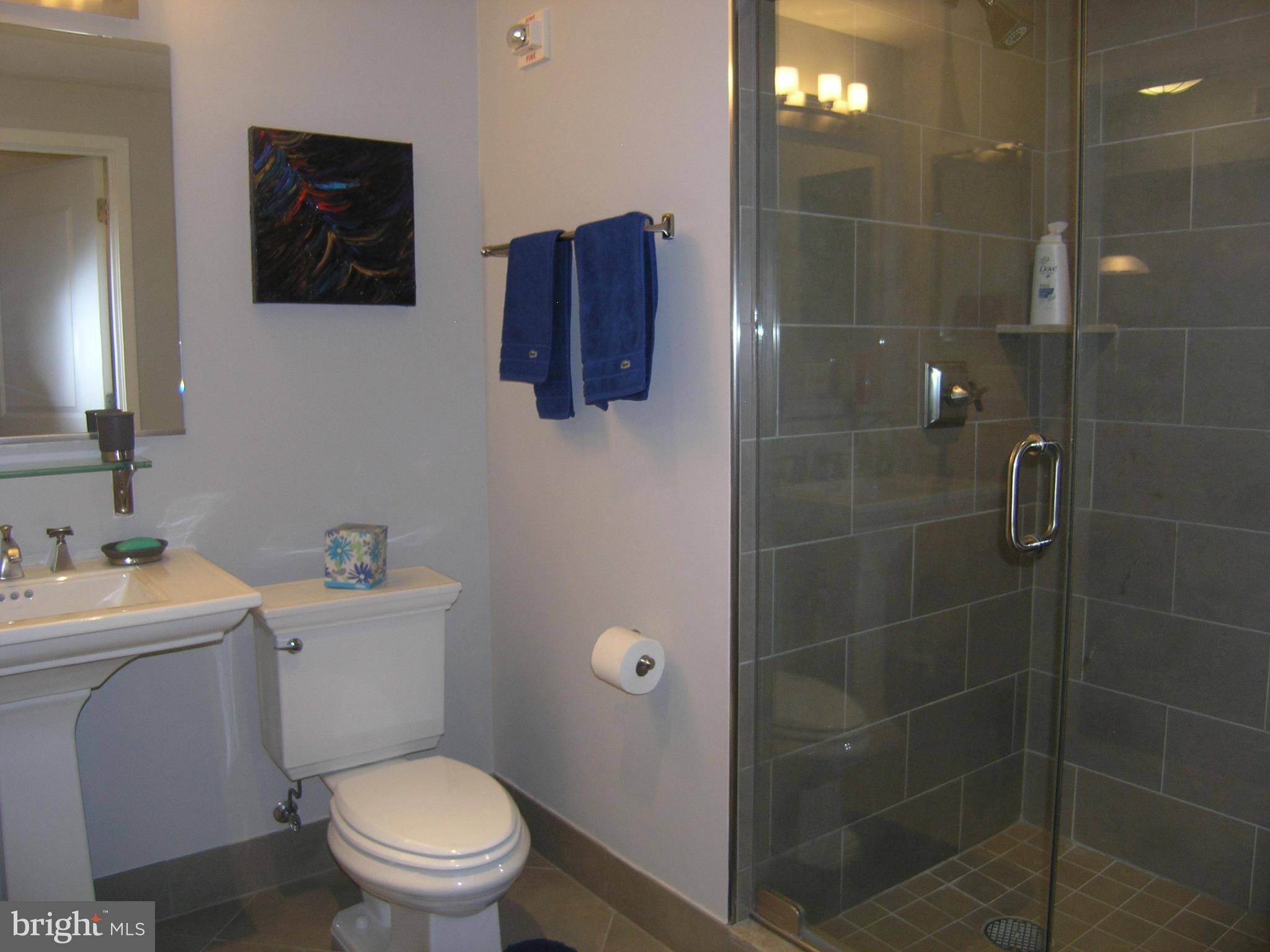 4301 Military Road Northwest, Unit 211 Washington, DC 20015 - Photo 17 of 26 Bath