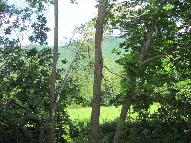 1050 Plunkton Road Warren, VT 05674 - Photo 14 of 14