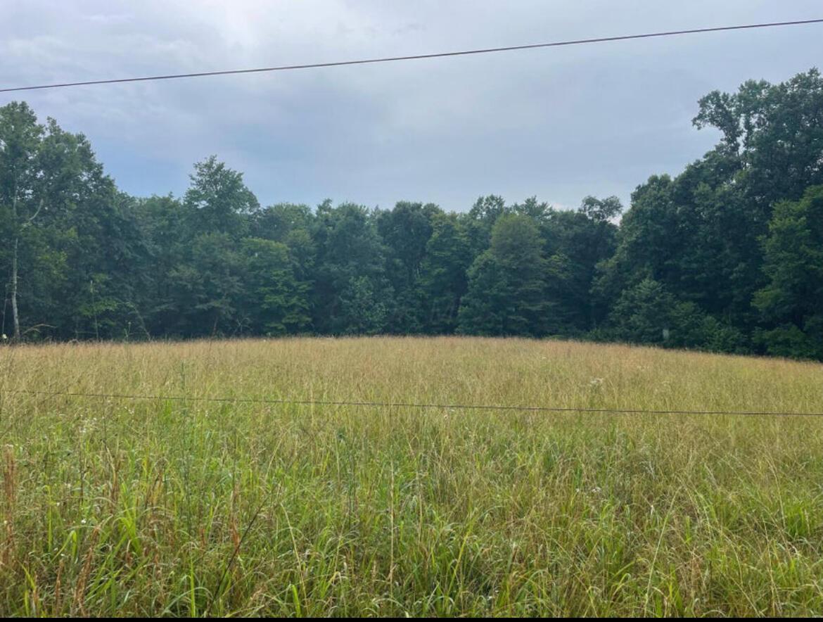 image1-5