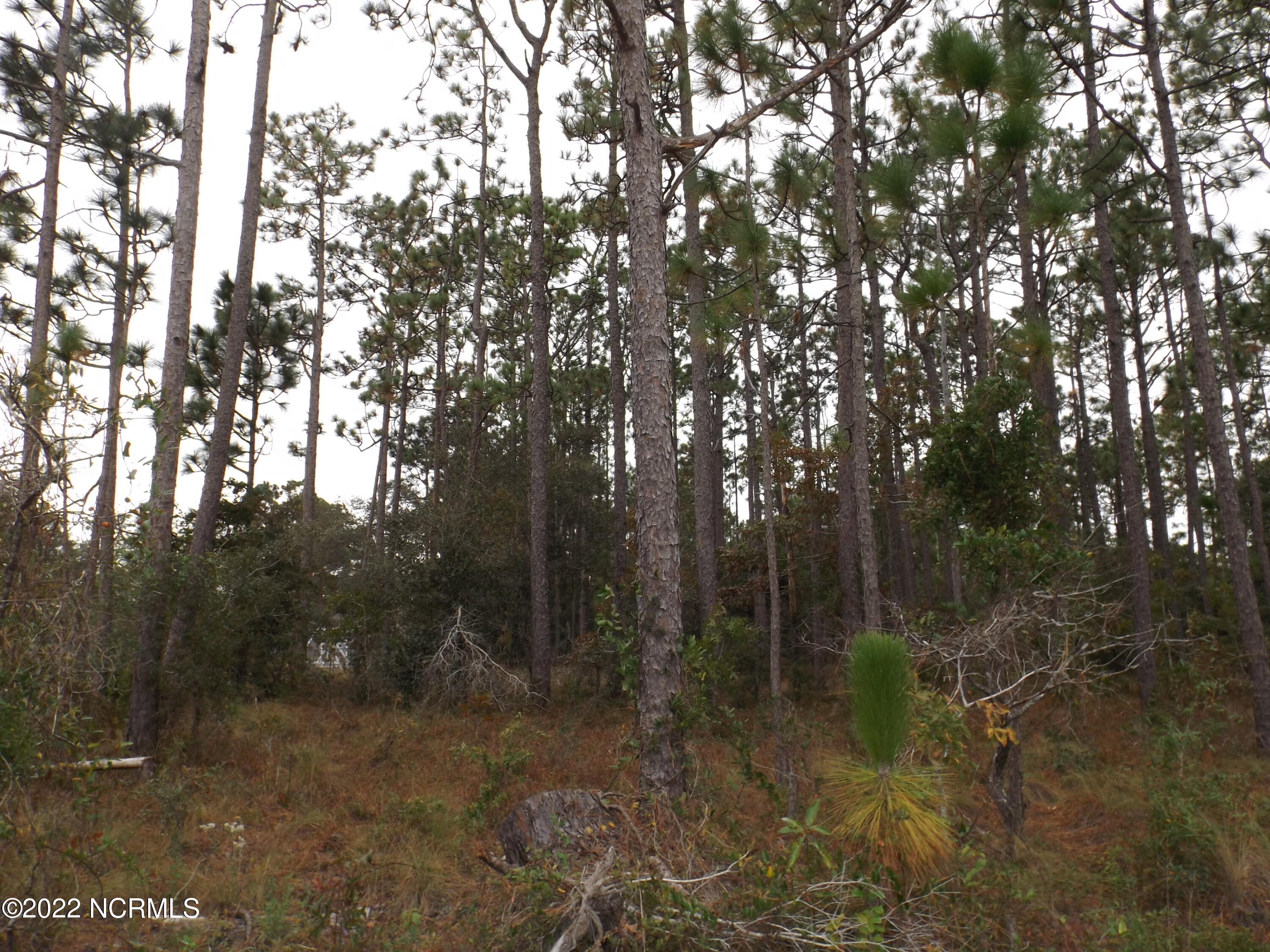 586 Palmer Drive Southport, NC 28461 - Photo 1 of 3 front view