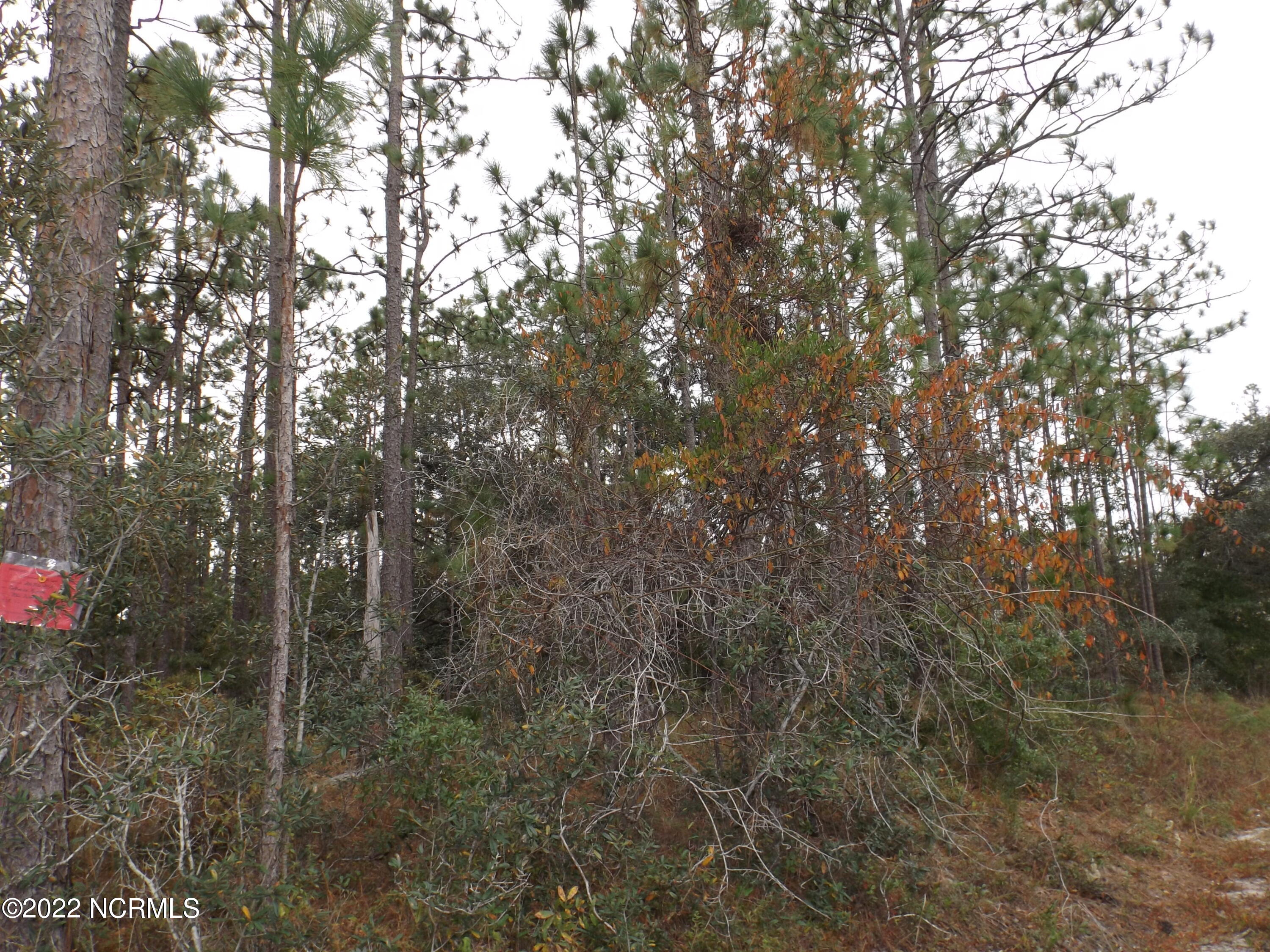 586 Palmer Drive Southport, NC 28461 - Photo 2 of 3 DSCF6975