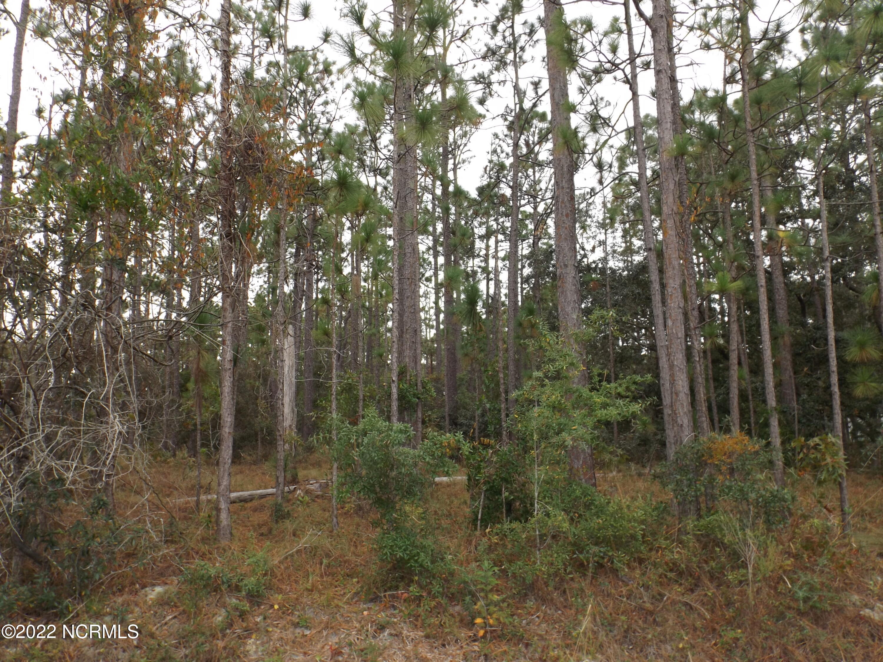 586 Palmer Drive Southport, NC 28461 - Photo 3 of 3 DSCF6974