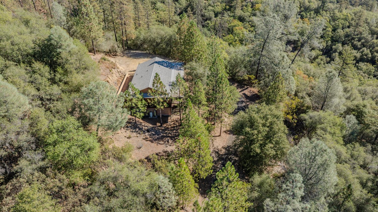 15545 Sutter Creek Road Sutter Creek, CA 95685 - Photo 9 of 81 Gallery Image 9
