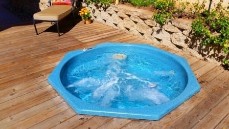 14229 Legacy Lane El Cajon, CA 92021 - Photo 21 of 25 Relax in your own Sparkling Spa, includes locking cover.