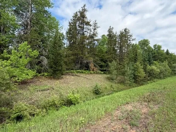 $79,900 | 40-ac South 40-ac S M-123 Trout Lake, Trout Lake, MI 49793