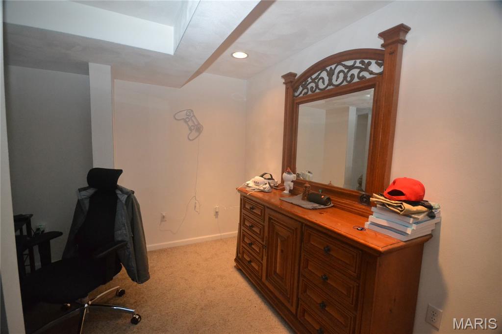 753 Fieldview Drive Smithton, IL 62285 - Photo 28 of 37