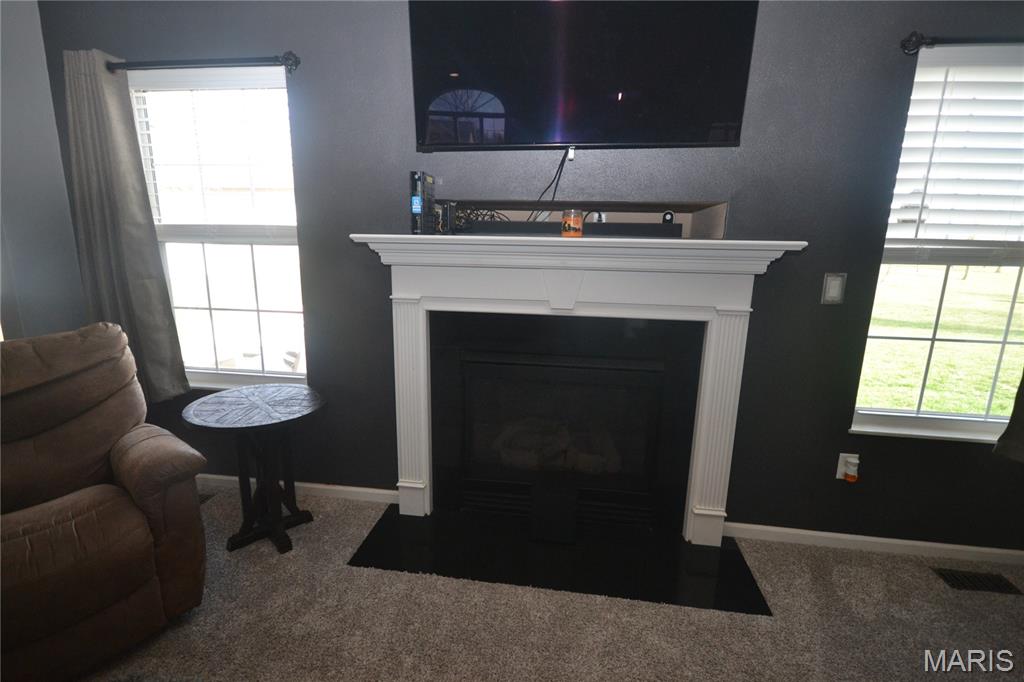 753 Fieldview Drive Smithton, IL 62285 - Photo 6 of 37