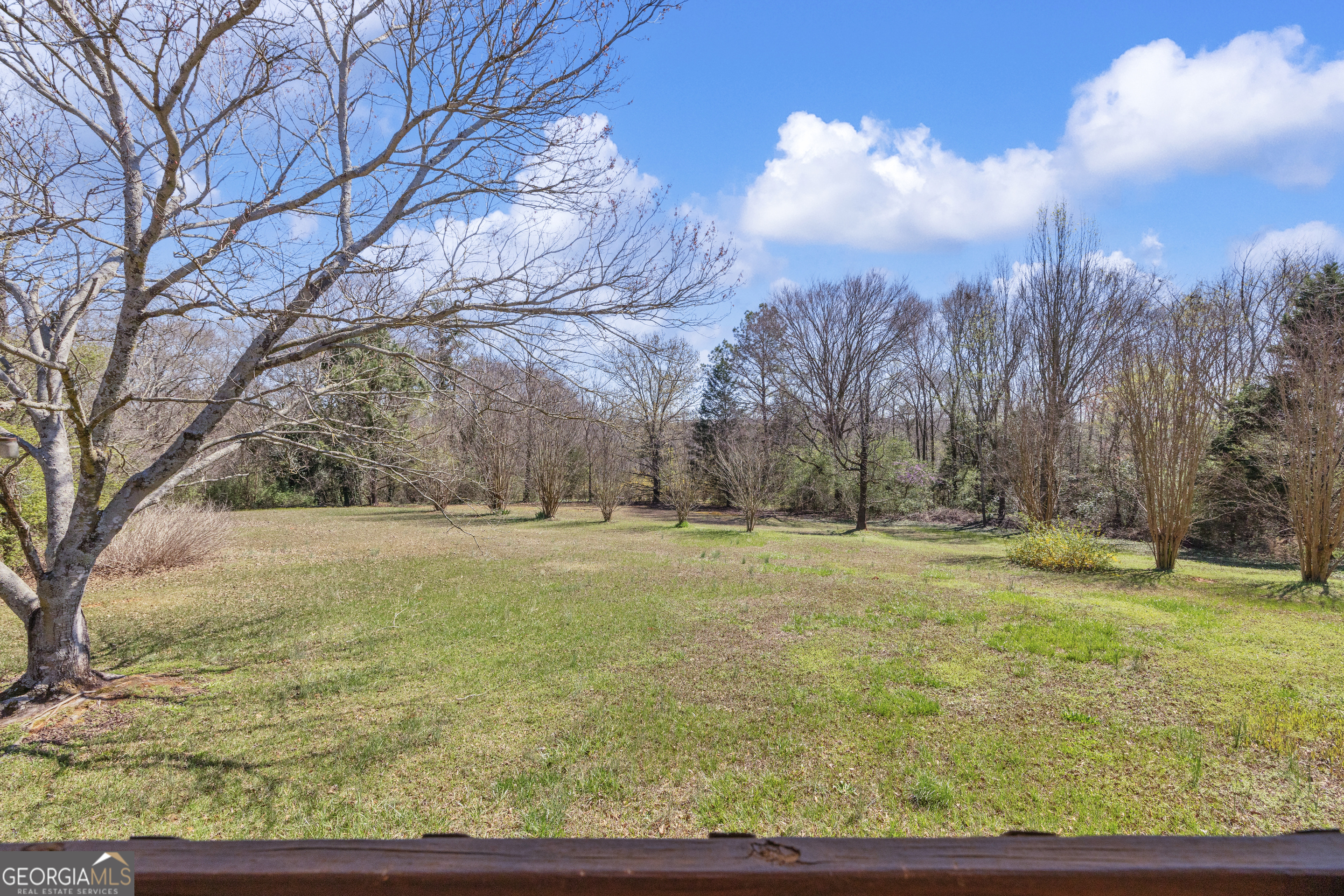 80 Riverbend Circle Royston, GA 30662 - Photo 38 of 70 a view of large trees with a yard