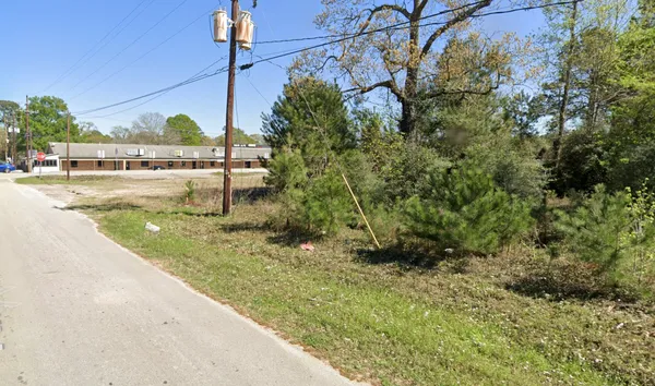 a view of a yard with plants