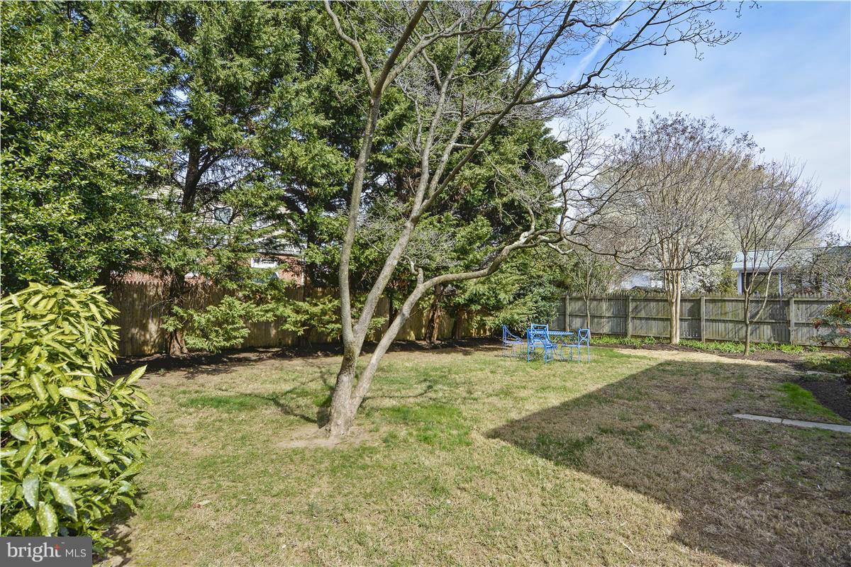 1913 Stratton Road Silver Spring, MD 20910 - Photo 5 of 30 Exterior (Rear)
