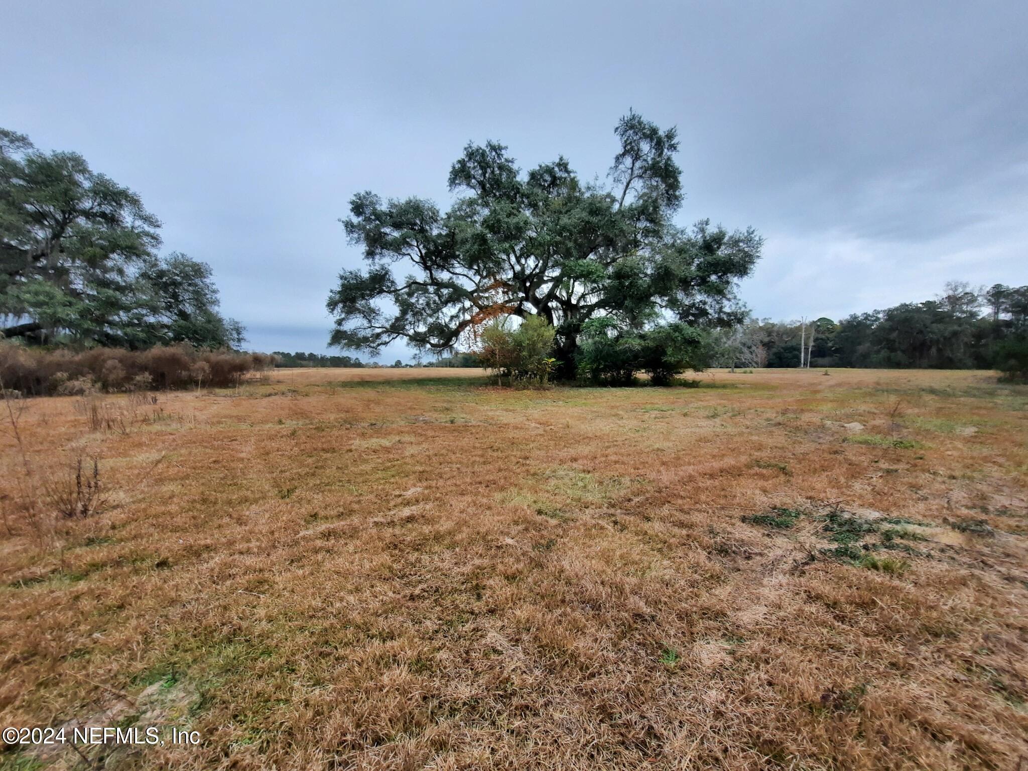 13485 Ulm Road Tallahassee, FL 32309 - Photo 1 of 15 10 acre Ulm Rd