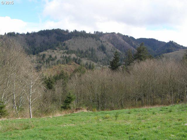 Skyview Road, Unit 23 Tillamook, OR 97141 - Photo 1 of 16 Gallery Image 1