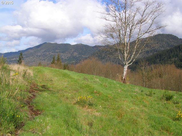 Skyview Road, Unit 23 Tillamook, OR 97141 - Photo 2 of 16 Gallery Image 2