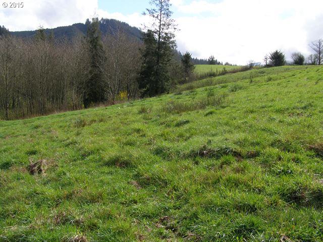 Skyview Road, Unit 23 Tillamook, OR 97141 - Photo 4 of 16 Gallery Image 4