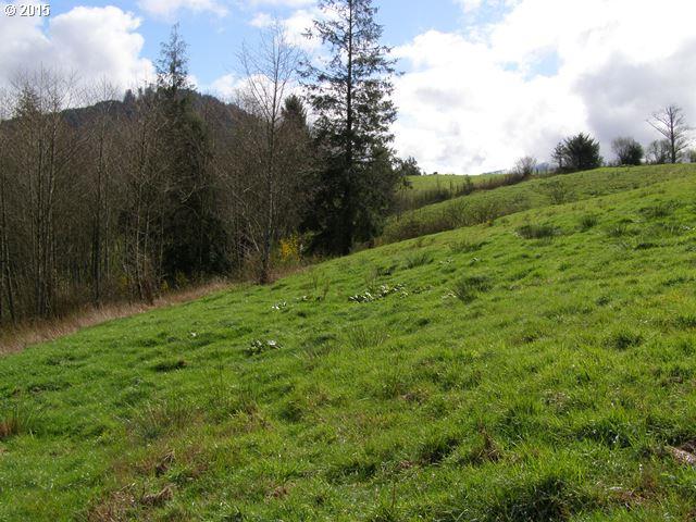 Skyview Road, Unit 23 Tillamook, OR 97141 - Photo 5 of 16 Gallery Image 5