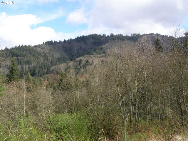 Skyview Road, Unit 23 Tillamook, OR 97141 - Photo 7 of 16 Gallery Image 7